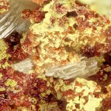 Mimetite, Carminite
FOV = 2.0 mm
(Autor: Doug)