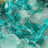 Tyrolite
FOV = 4.0 mm
(Autor: Doug)
