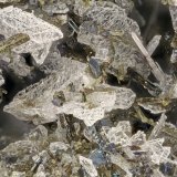 Hedenbergite, Albite, Ilmenite, Fluorapatite
FOV = 4.0 mm
(Autor: Doug)
