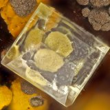 Adamite
FOV = 2.0 mm
(Autor: Doug)