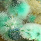 Mixite, Cornwallite
FOV = 4.0 mm
(Autor: Doug)