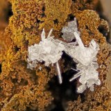 Cerussite
FOV = 4.0 mm
(Autor: Doug)