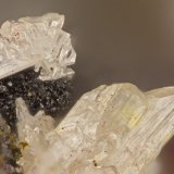 Cerussite
FOV = 1.5 mm
(Autor: Doug)