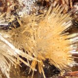 Willemite
FOV = 4.0 mm
(Autor: Doug)