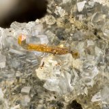 Pyrite, Clinoptilolite-Na
FOV = 2.7 mm
(Autor: Doug)