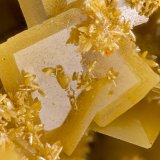 Wulfenite, Mimetite
FOV = 3.6 mm
(Autor: Doug)