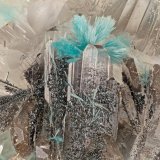 Aurichalcite, Plattnerite, Hemimorphite
FOV = 3.4 mm
(Autor: Doug)