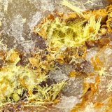 Mimetite
FOV = 4.0 mm
(Autor: Doug)