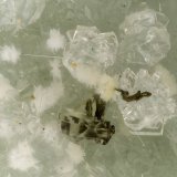 Pyrite, Clinoptilolite-Ca, Erionite-Ca, Mordenite
FOV = 2.6 mm
(Autor: Doug)