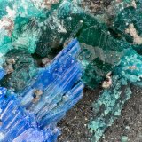 Brochantite, Linarite, Caledonite
FOV = 1.9 mm
(Autor: Doug)