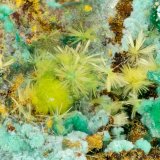 Phurcalite
FOV = 3.5 mm
(Autor: Doug)