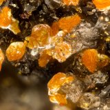 Descloizite
FOV = 1.5 mm
(Autor: Doug)