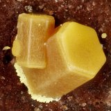 Pyromorphite, Vanadinite
FOV = 1.7 mm
(Autor: Doug)