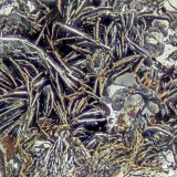 Hematite
FOV = 4.0 mm
(Autor: Doug)