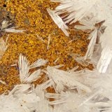 Hemimorphite
FOV = 4.0 mm
(Autor: Doug)
