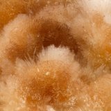 Ferrierite-Mg
FOV = 2.9 mm
(Autor: Doug)
