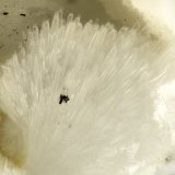 Dachiardite-Ca
FOV = 1.6 mm
(Autor: Doug)