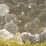 Cowlesite
FOV = 3.5 mm
(Autor: Doug)