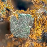 Malachite, Cuprite
FOV = 4.0mm
(Autor: Doug)