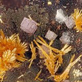 Vanadinite, Fluorite
FOV = 3.6 mm
(Autor: Doug)