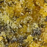 Murdochite, Mimetite
FOV = 1.2 mm
(Autor: Doug)
