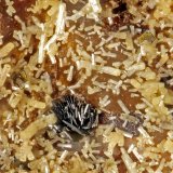 Mottramite, Vanadinite
FOV = 1.2 mm
(Autor: Doug)