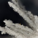 Clinoptilolite, Mordenite, Erionite-Ca
FOV = 3.3 mm
(Autor: Doug)