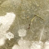 Pyrite, Erionite-Ca, Clinoptilolite-Ca
FOV = 2.2 mm
(Autor: Doug)