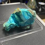 Chrysocolla
7 x 3 cm
(Autor: Shawn S)