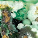 Strashimirite
FOV = 3.4 mm
(Autor: Doug)