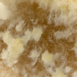 Sepiolite
FOV = 1.5 mm
(Autor: Doug)