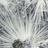 Canavesite
FOV = 4.0 mm
(Autor: Doug)