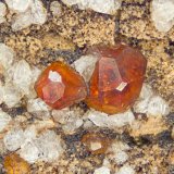 Spessartine
FOV = 4.0 mm
(Autor: Doug)