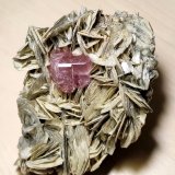 Fluorapatite, Muscovite
110 mm x 75 mm. Fluorapatite crystal size: 14 mm on edge, 20 mm across. Mass (weight): 432 g.
(Autor: Carles Millan)