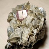 Fluorapatite, Muscovite
110 mm x 75 mm. Fluorapatite crystal size: 14 mm on edge, 20 mm across. Mass (weight): 432 g.
(Autor: Carles Millan)