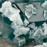 Minrecordite, Dioptase
FOV = 3.9 mm
(Autor: Doug)