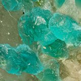 Turquoise
FOV = 2.0 mm
(Autor: Doug)