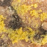 Lithiophorite, Kleinite
FOV = 1.6 mm
(Autor: Doug)