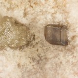 Corderoite
FOV = 0.6 mm
(Autor: Doug)
