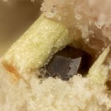 Corderoite
FOV = 0.7 mm
(Autor: Doug)