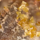 Descloizite
FOV = 1.6 mm
(Autor: Doug)