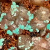 Rosasite
FOV = 1.9 mm
(Autor: Doug)