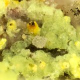 Andersonite, natrozippeite
FOV = 1.7 mm
(Autor: Doug)