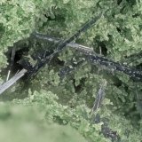 Glaucophane
FOV = 3.0 mm
(Autor: Doug)