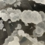 Cowlesite
FOV = 3.1 mm
(Autor: Doug)