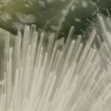 Artinite
FOV = 3.0 mm
(Autor: Doug)