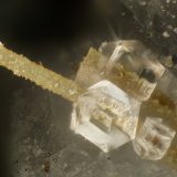 Paulingite-Ca
FOV = 1.4 mm
(Autor: Doug)