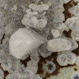 Phillipsite-Ca associated with Paulingite-Ca
FOV = 3.6 mm
(Autor: Doug)