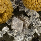 Paulingite-K, Clinoptilolite-Ca, Phillipsite-K
FOV = 3.0 mm
(Autor: Doug)