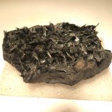 Romanechite
75 X 50 X 20 mm
(Autor: Robert Seitz)